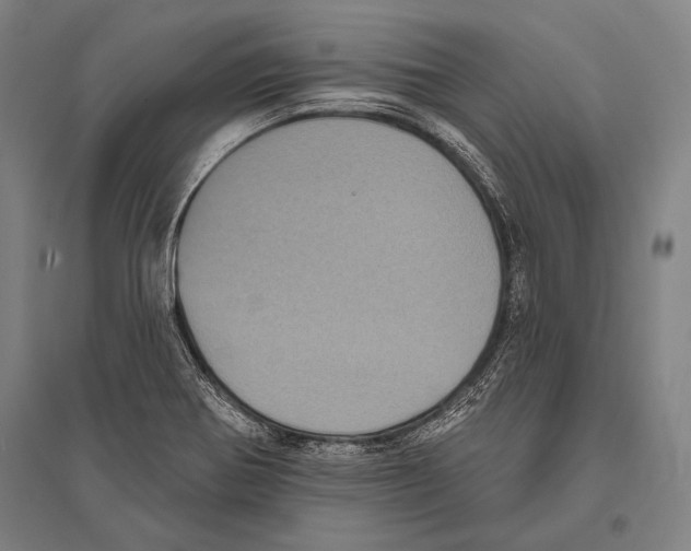 X0000094811370200712141613