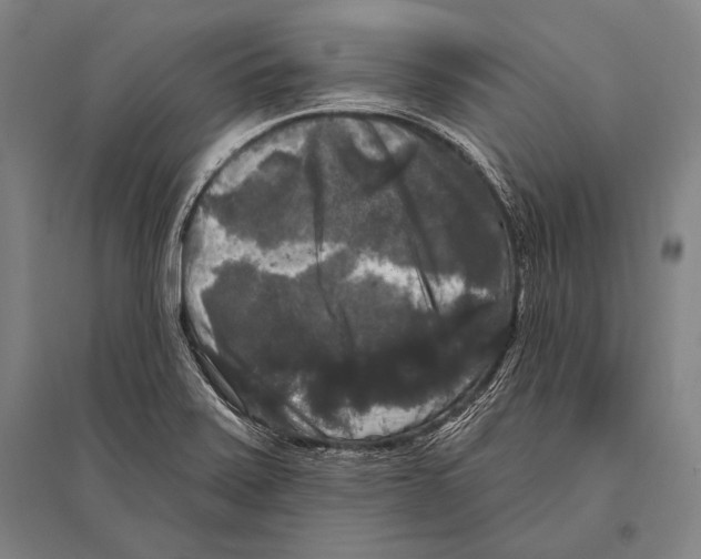 X0000094811371200712141612