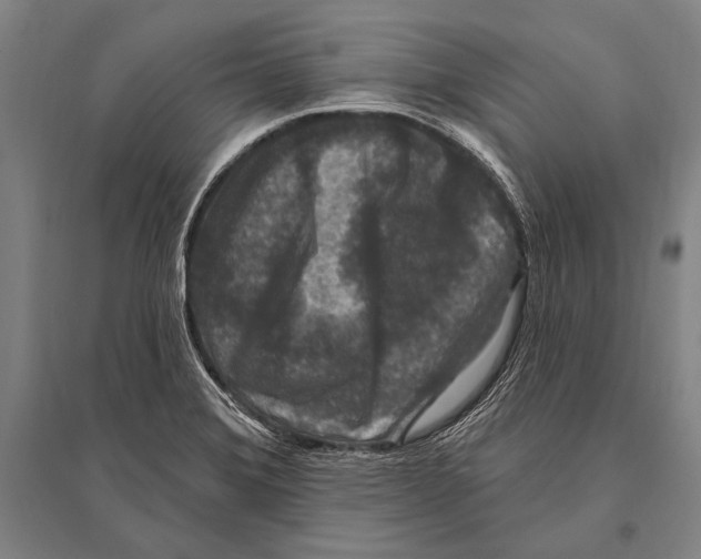 X0000094811372200712141612