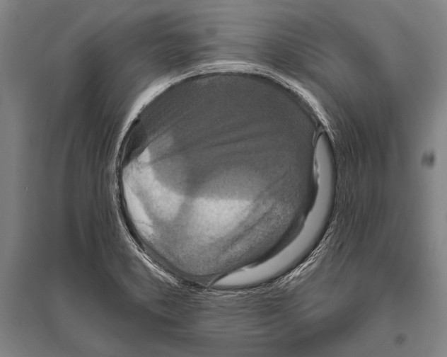 X0000094811373200712141612