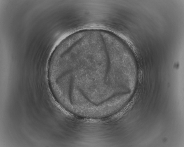 X0000094811374200712141612