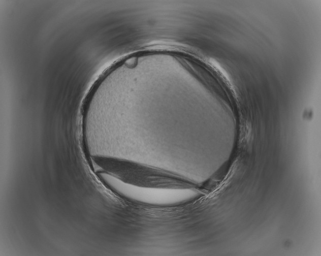 X0000094811376200712141612