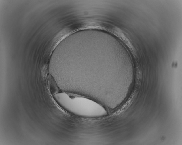 X0000094811377200712141612