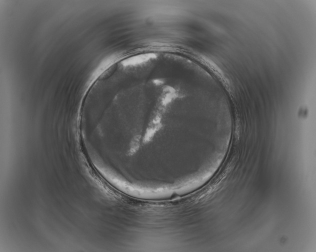 X0000094811378200712141612