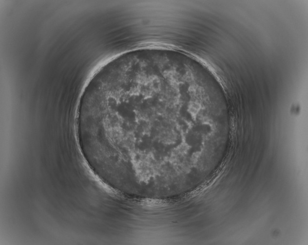 X0000094811379200712141612