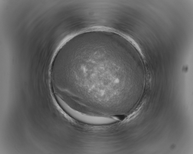 X0000094811381200712141612