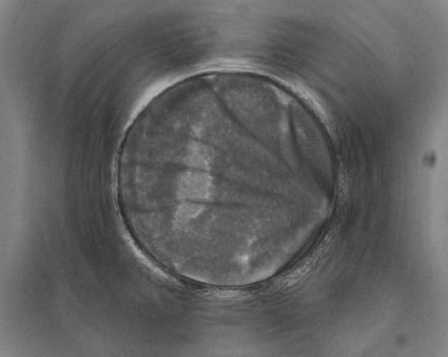 X0000094811382200712141612