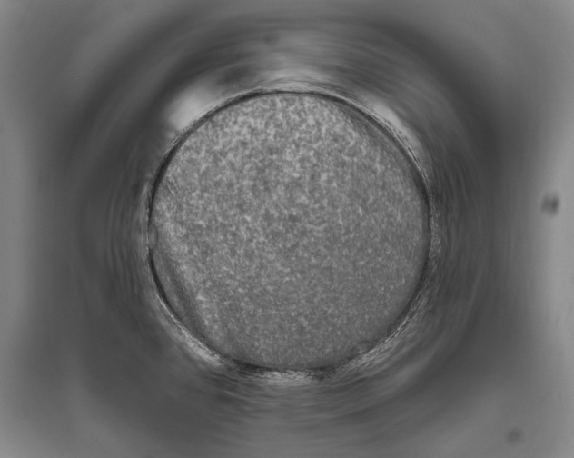 X0000094811384200712141612