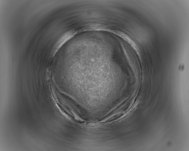 X0000094811385200712141612