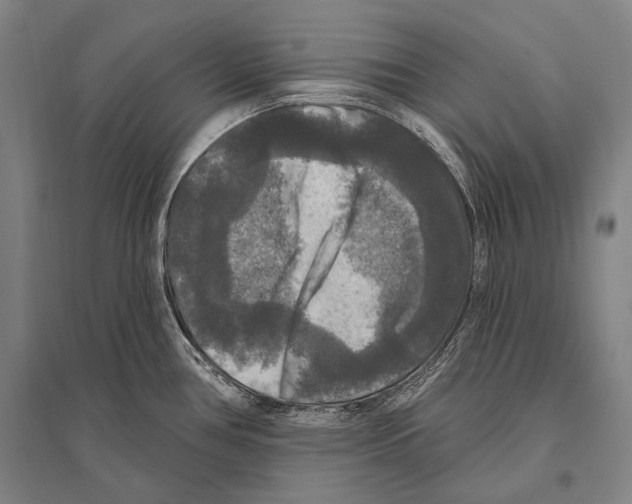 X0000094811386200712141612