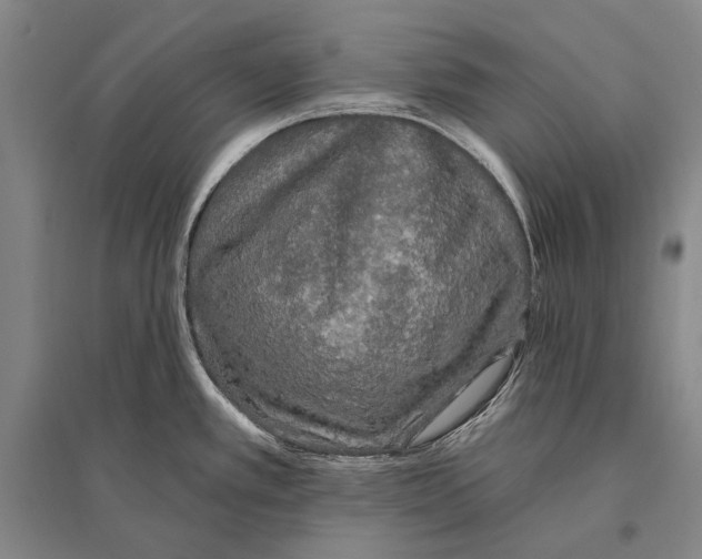 X0000094811389200712141612