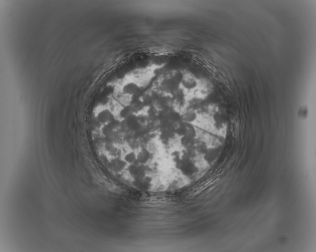 X0000094811393200712141612