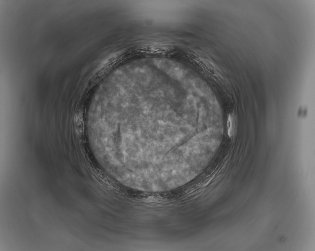 X0000094811395200712141612