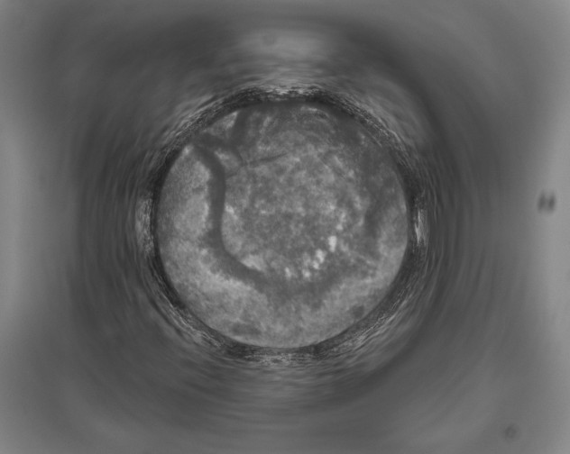 X0000094811396200712141612