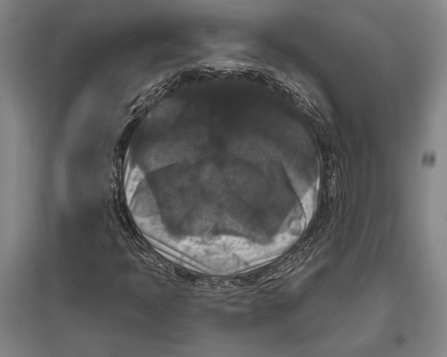 X0000094811397200712141612