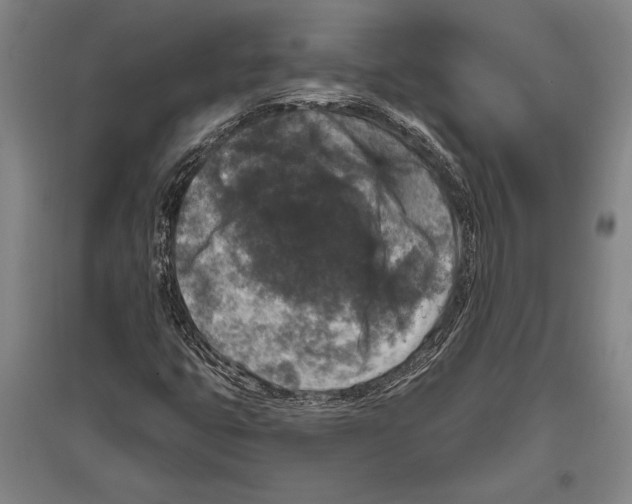 X0000094811399200712141612