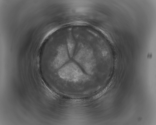 X0000094811402200712141612