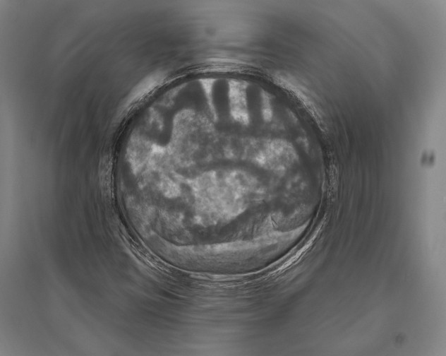 X0000094811403200712141612