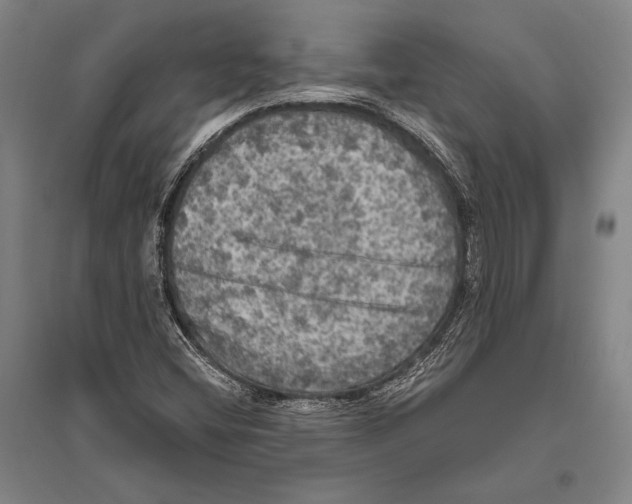 X0000094811404200712141612