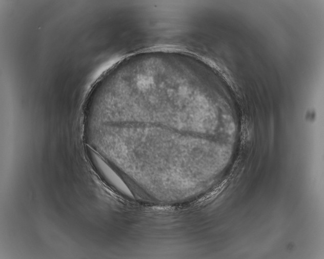 X0000094811406200712141612