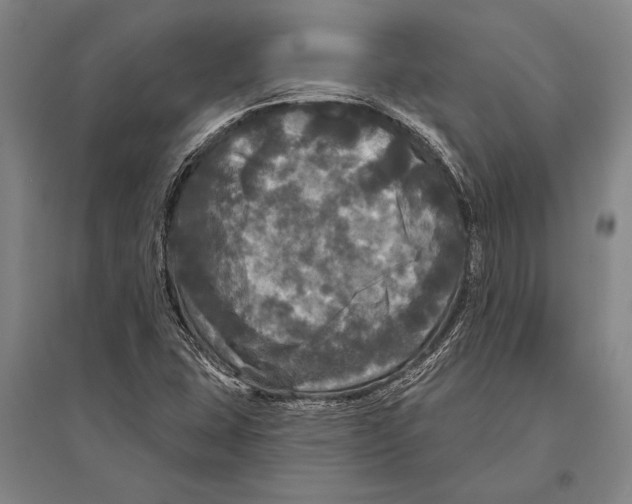 X0000094811407200712141612