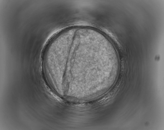 X0000094811408200712141612