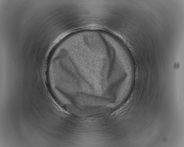 X0000094811410200712141612