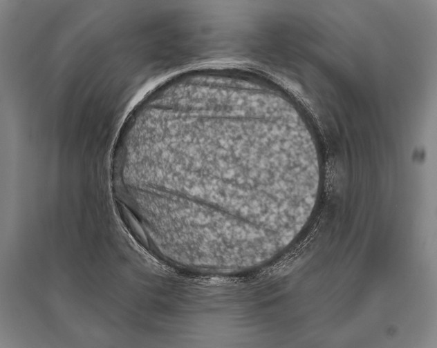 X0000094811412200712141612