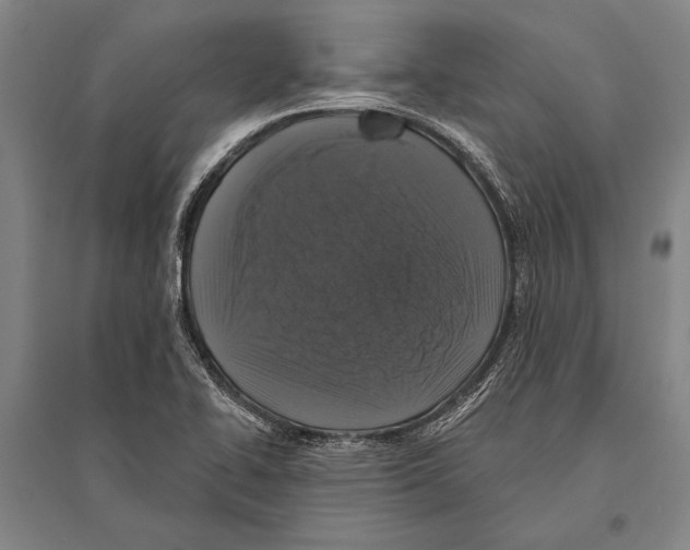 X0000094811414200712141612