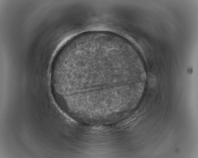 X0000094811416200712141612