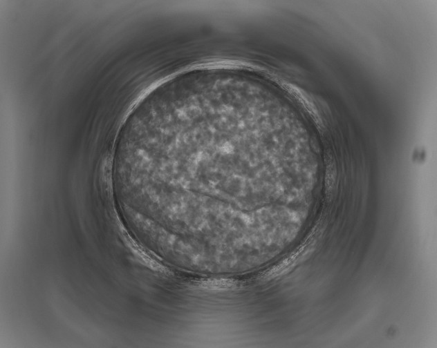 X0000094811417200712141612