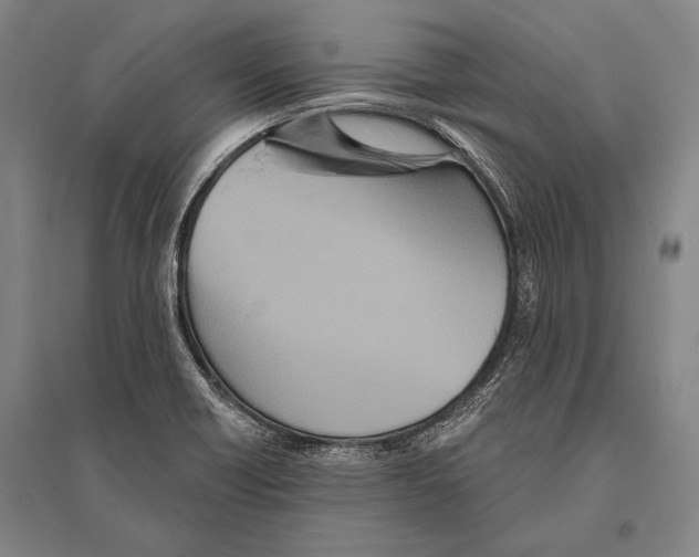 X0000094811418200712141612