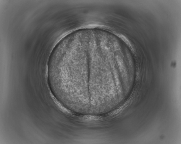 X0000094811420200712141612