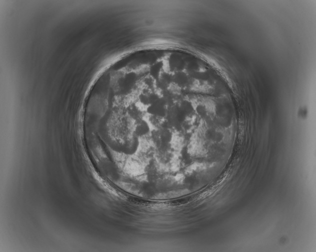 X0000094811421200712141612