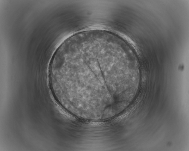 X0000094811423200712141612