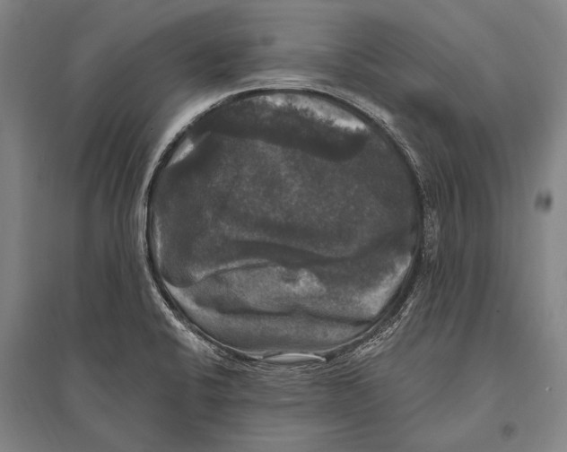 X0000094811424200712141612