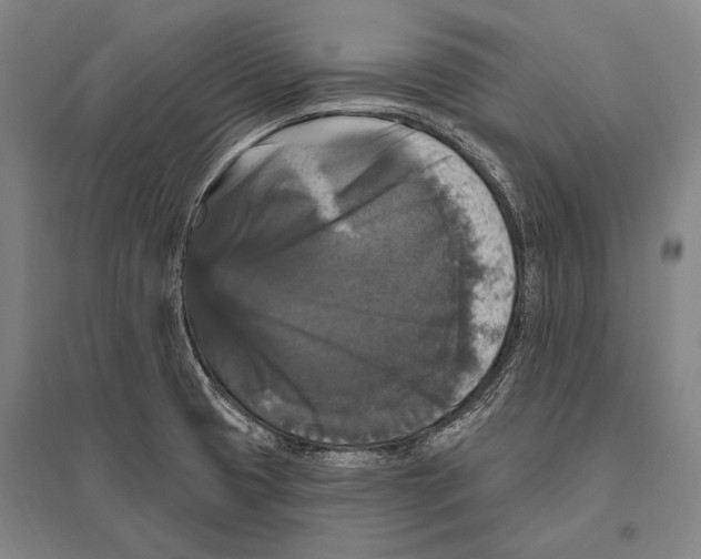 X0000094811425200712141612