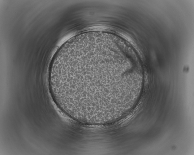 X0000094811426200712141612