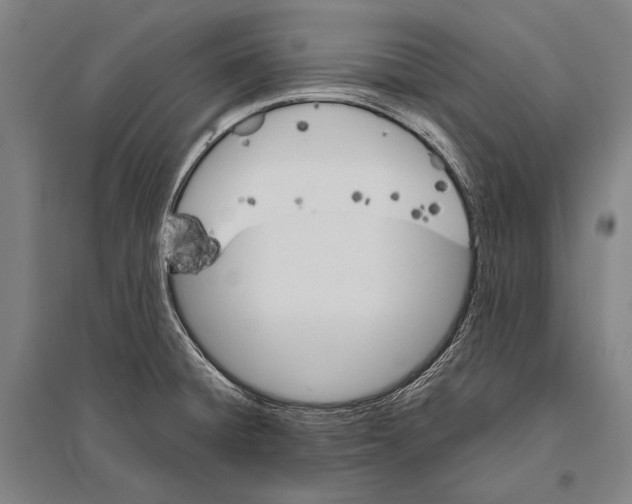 X0000094811428200712141612