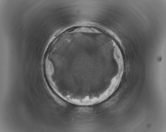 X0000094811429200712141612