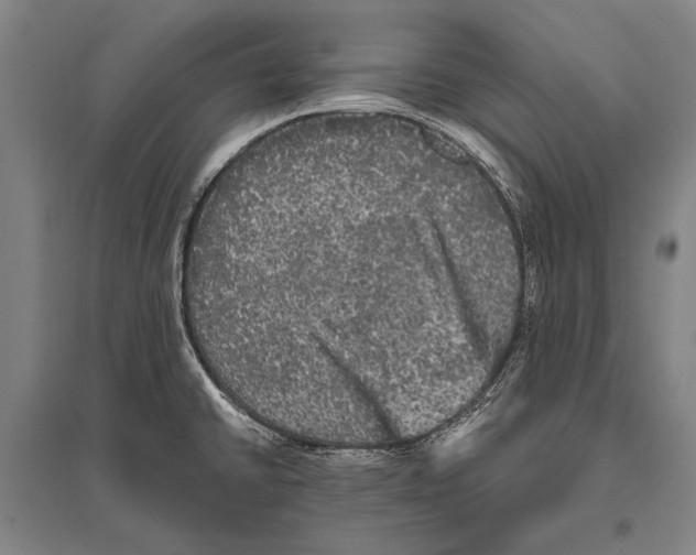 X0000094811430200712141612