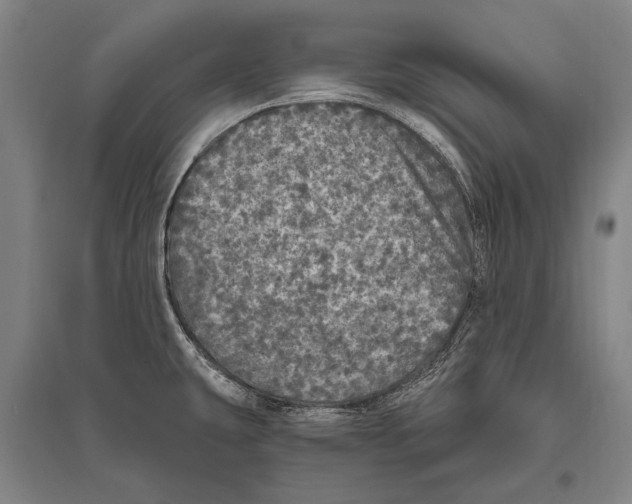 X0000094811431200712141612