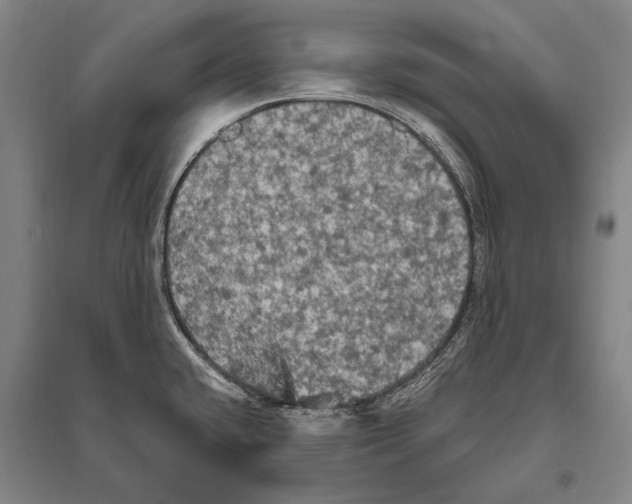 X0000094811432200712141612