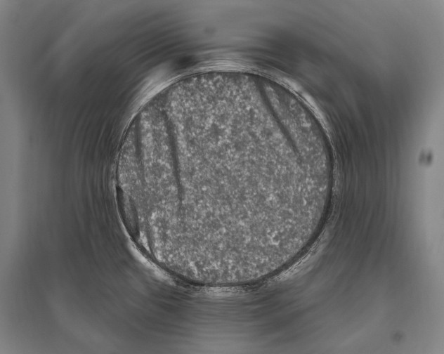 X0000094811433200712141612