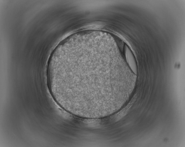 X0000094811434200712141612