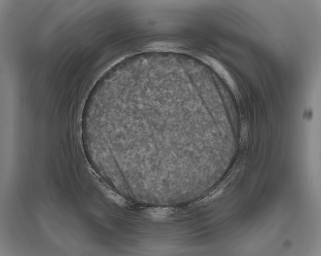 X0000094811435200712141612