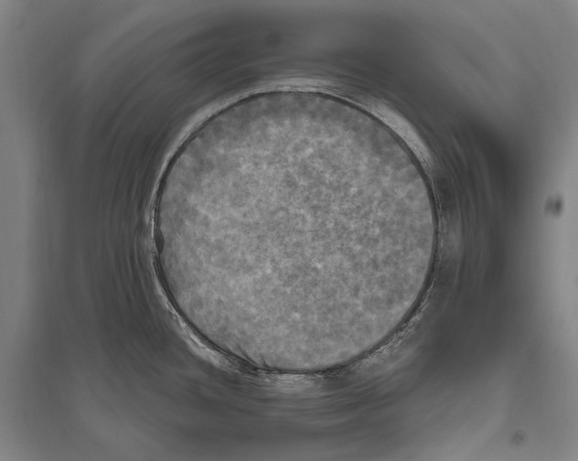 X0000094811436200712141612