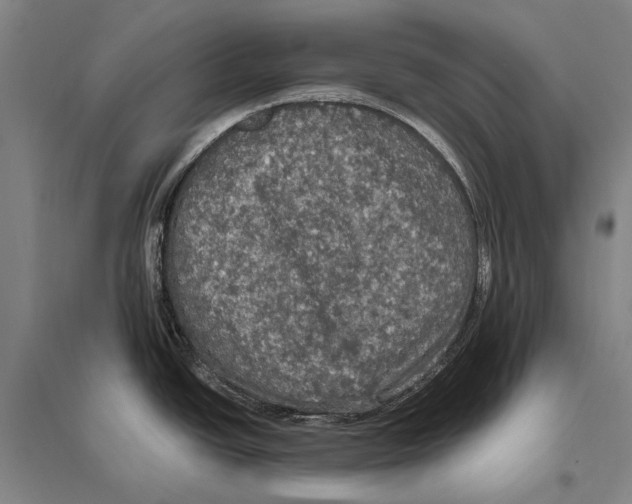 X0000094811438200712141612