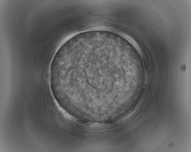 X0000094811439200712141612