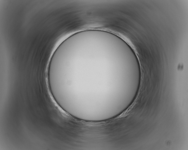 X0000094811440200712141612